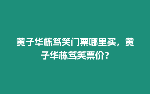 黃子華棟篤笑門票哪里買，黃子華棟篤笑票價？