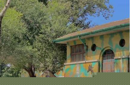 現在北京動物園的門票價格，現在北京動物園的門票價格是多少錢？