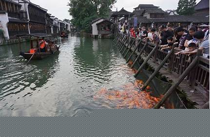 西柵景區晚上門票嗎，西柵幾點以后不用門票？