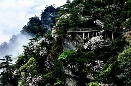 井岡山景區門票280，井岡山景區門票280票？