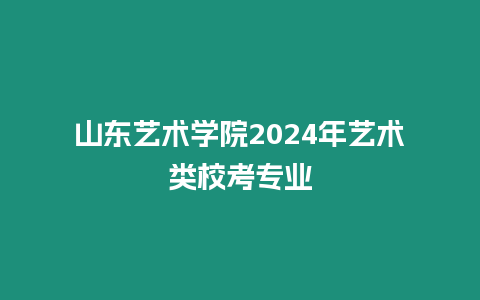 山東藝術(shù)學(xué)院2024年藝術(shù)類校考專業(yè)