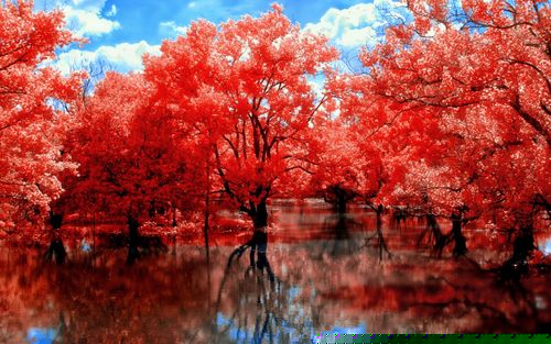 4fe04d3674391c007e09a9c5e4cfb9da.jpg