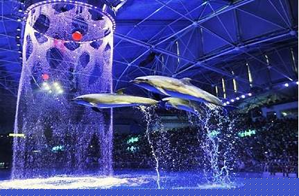 海昌極地樂園門票價格_海昌極地樂園門票價格多少？