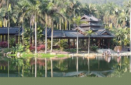 南寧老木棉匠園景區(qū)門票，南寧市老木棉景區(qū)？