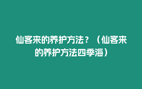 仙客來的養(yǎng)護(hù)方法？（仙客來的養(yǎng)護(hù)方法四季海）