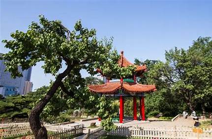 大連勞動公園有門票嗎_大連勞動公園有門票嗎多少錢？