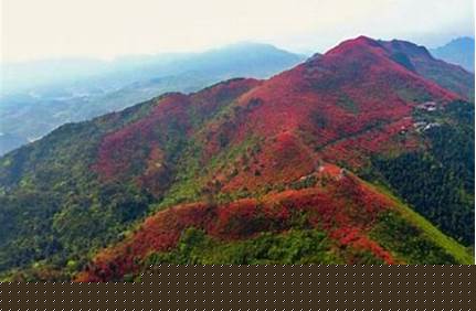 井岡山景區(qū)的門票價(jià)格，井岡山景區(qū)的門票價(jià)格表？