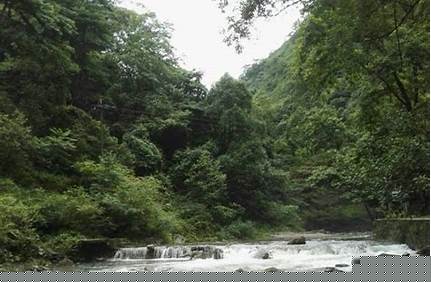 6ebafa9521f98c0ef8093e65202ccac1.jpg