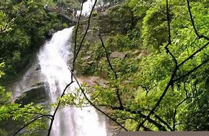 武夷山青龍景區門票價格，武夷山青龍景區門票價格多少？