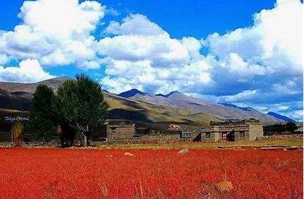 桑堆紅草地門(mén)票價(jià)格，桑堆紅草灘？