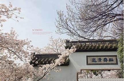 黿頭渚成人和兒童門票多少錢_黿頭渚多少歲免票？