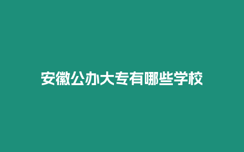 安徽公辦大專有哪些學校