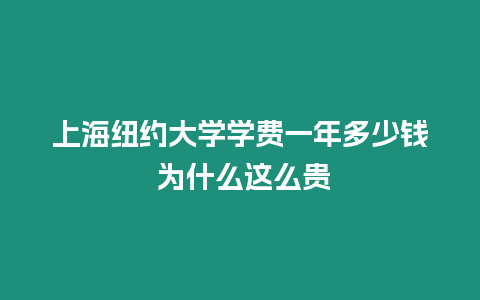 上海紐約大學(xué)學(xué)費(fèi)一年多少錢 為什么這么貴
