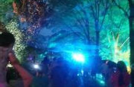 黃果樹夜景門票多少，黃果樹夜景門票多少錢一張票？