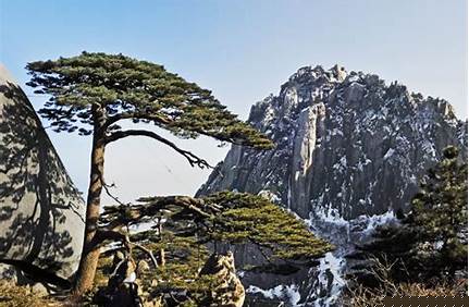 2018安徽人黃山免門票，安徽人黃山免票政策2019？
