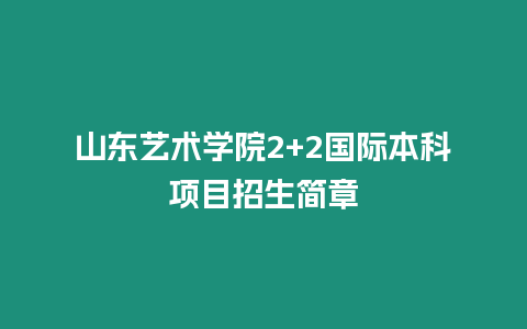 山東藝術(shù)學院2+2國際本科項目招生簡章