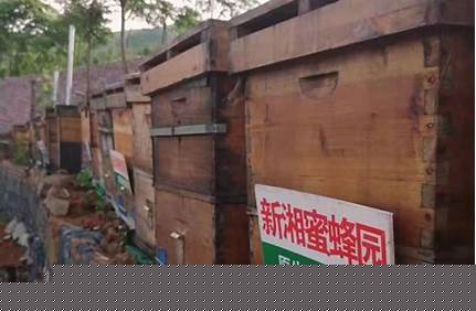 采香經水上樂園門票，香草園水上樂園門票價格？