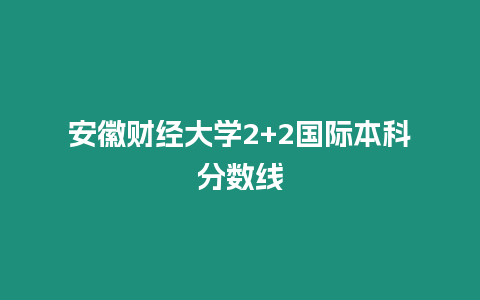 安徽財經大學2+2國際本科分數線