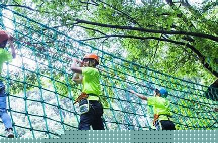 泰山門票小孩怎么預定？