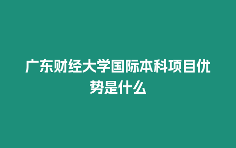 廣東財(cái)經(jīng)大學(xué)國(guó)際本科項(xiàng)目?jī)?yōu)勢(shì)是什么