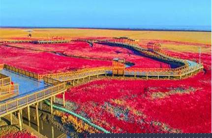 紅海灘風景區老人門票，紅海灘風景區老人門票多少錢？