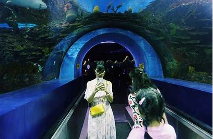 北京海洋館門票價格電視塔那邊_北京中央電視塔海洋館門票多少錢？