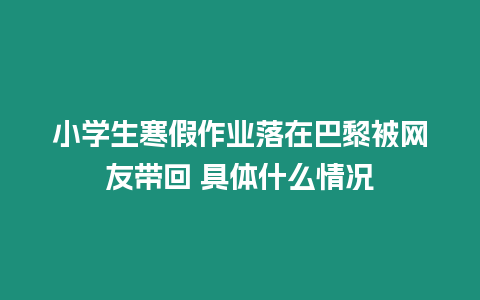 小學生寒假作業落在巴黎被網友帶回 具體什么情況