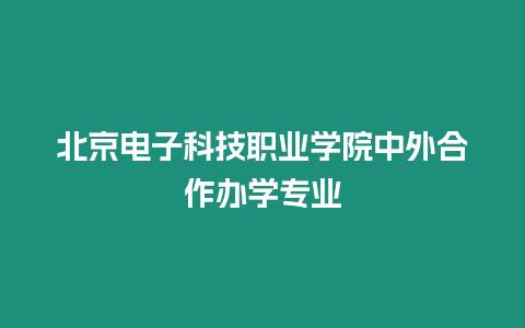 北京電子科技職業學院中外合作辦學專業