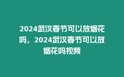 2024武漢春節(jié)可以放煙花嗎，2024武漢春節(jié)可以放煙花嗎視頻