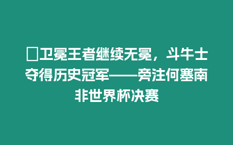 ?衛冕王者繼續無冕，斗牛士奪得歷史冠軍——旁注何塞南非世界杯決賽