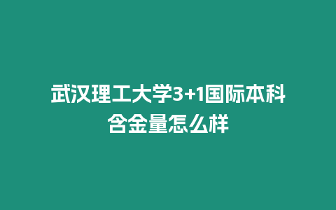 武漢理工大學3+1國際本科含金量怎么樣