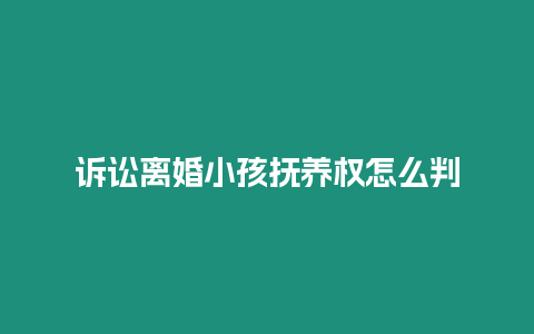 訴訟離婚小孩撫養權怎么判