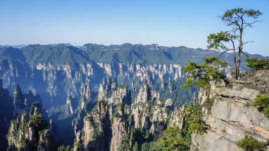 牛溲馬勃是什么生肖（牛溲馬勃)打一生肖動物(揭曉解釋)全國各地加強公共場所疫情防控措施落實？