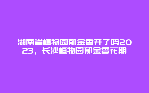湖南省植物園郁金香開了嗎2024，長沙植物園郁金香花期