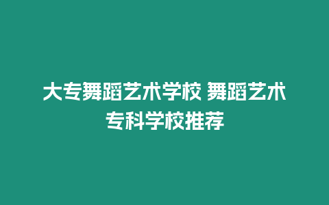 大專舞蹈藝術(shù)學(xué)校 舞蹈藝術(shù)專科學(xué)校推薦