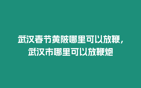武漢春節黃陂哪里可以放鞭，武漢市哪里可以放鞭炮