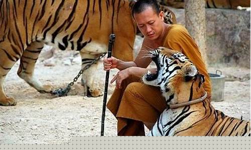 泰國人來養老虎怎么說英語