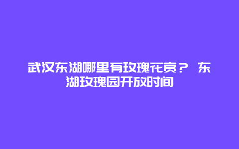 武漢東湖哪里有玫瑰花賞？ 東湖玫瑰園開放時間