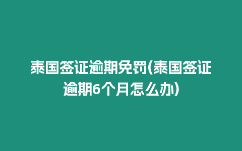 泰國簽證逾期免罰(泰國簽證逾期6個(gè)月怎么辦)