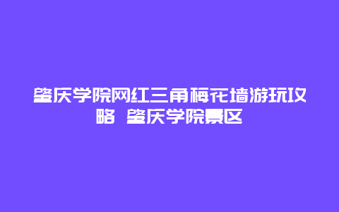 肇慶學(xué)院網(wǎng)紅三角梅花墻游玩攻略 肇慶學(xué)院景區(qū)