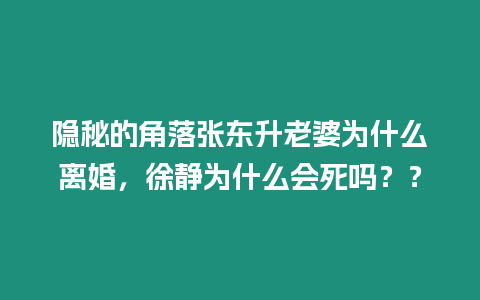 隱秘的角落張東升老婆為什么離婚，徐靜為什么會死嗎？？