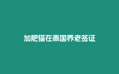 加肥貓?jiān)谔﹪?guó)養(yǎng)老簽證