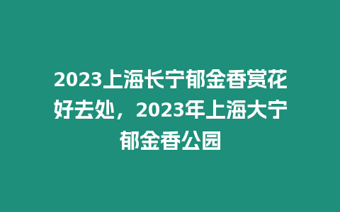 2023上海長(zhǎng)寧郁金香賞花好去處，2023年上海大寧郁金香公園
