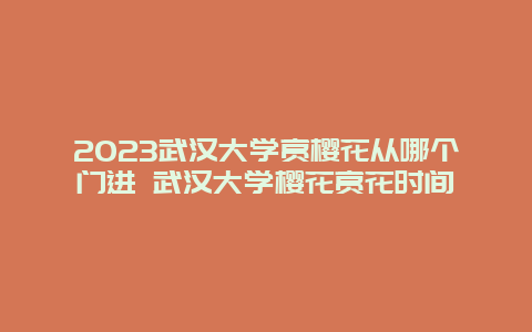 2024武漢大學賞櫻花從哪個門進 武漢大學櫻花賞花時間