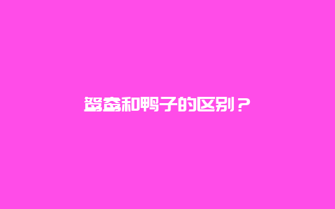 鴛鴦和鴨子的區別？