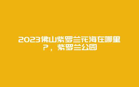 2024佛山紫羅蘭花海在哪里？，紫羅蘭公園