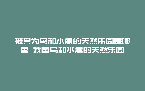 被譽為鳥和水禽的天然樂園是哪里 我國鳥和水禽的天然樂園