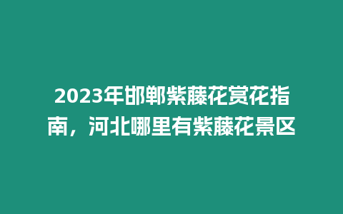 2023年邯鄲紫藤花賞花指南，河北哪里有紫藤花景區