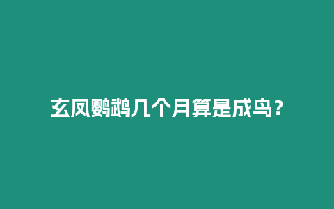 玄鳳鸚鵡幾個月算是成鳥？