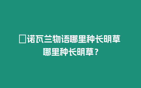 ?諾瓦蘭物語哪里種長明草 哪里種長明草？